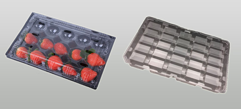 Pet Blister Tray Manufacturer in Mumbai Pet Blister Tray