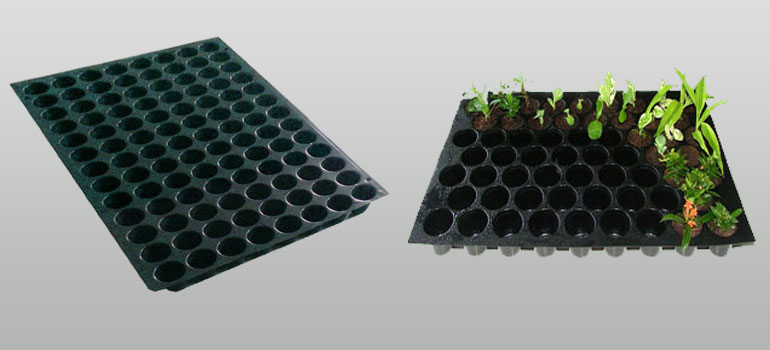 Plastic Seedling Tray Manufacturer in India Seedling, Agricultural, Nursery Tray